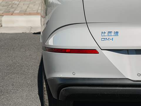 2026�� DM-i 305�콢��