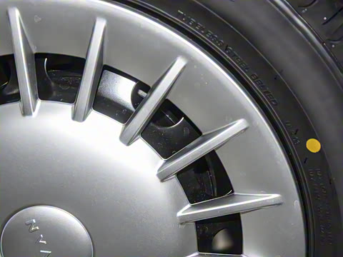 2025�� ������