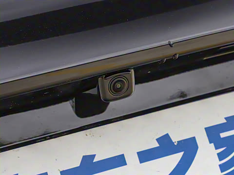 2025�� 550������