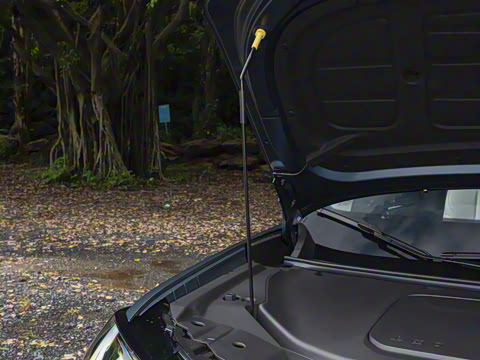 2026�� ���������� ��ͥ�� 650 �����