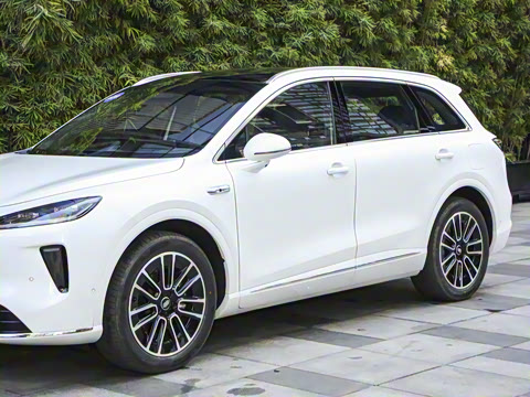 2025�� ���� Pro ������