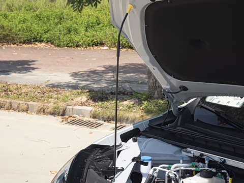 2026�� 650�Ǻ���