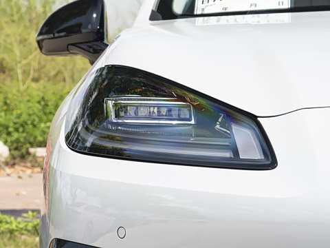 2026�� 650�Ǻ���