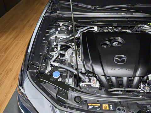 2025�� 2.0L �Զ����Ű�