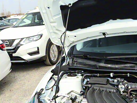 2026�� ���� 1.6L CVT�泩��