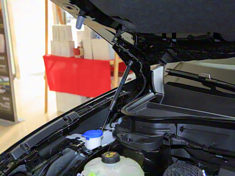 2026�� ���L 2.0T EcoBoost ��������������