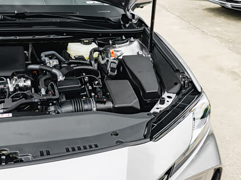 2026��  ˫�� 2.0HG ����