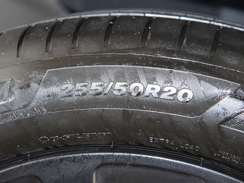 2026�� ���� Max