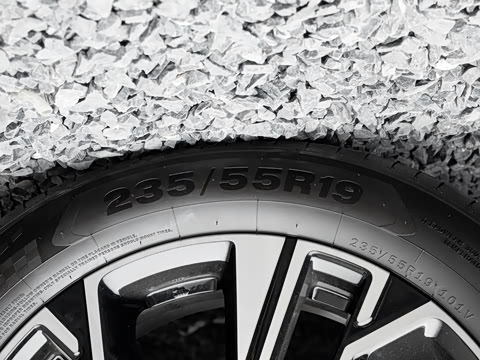 2026�� ���� 81kWh