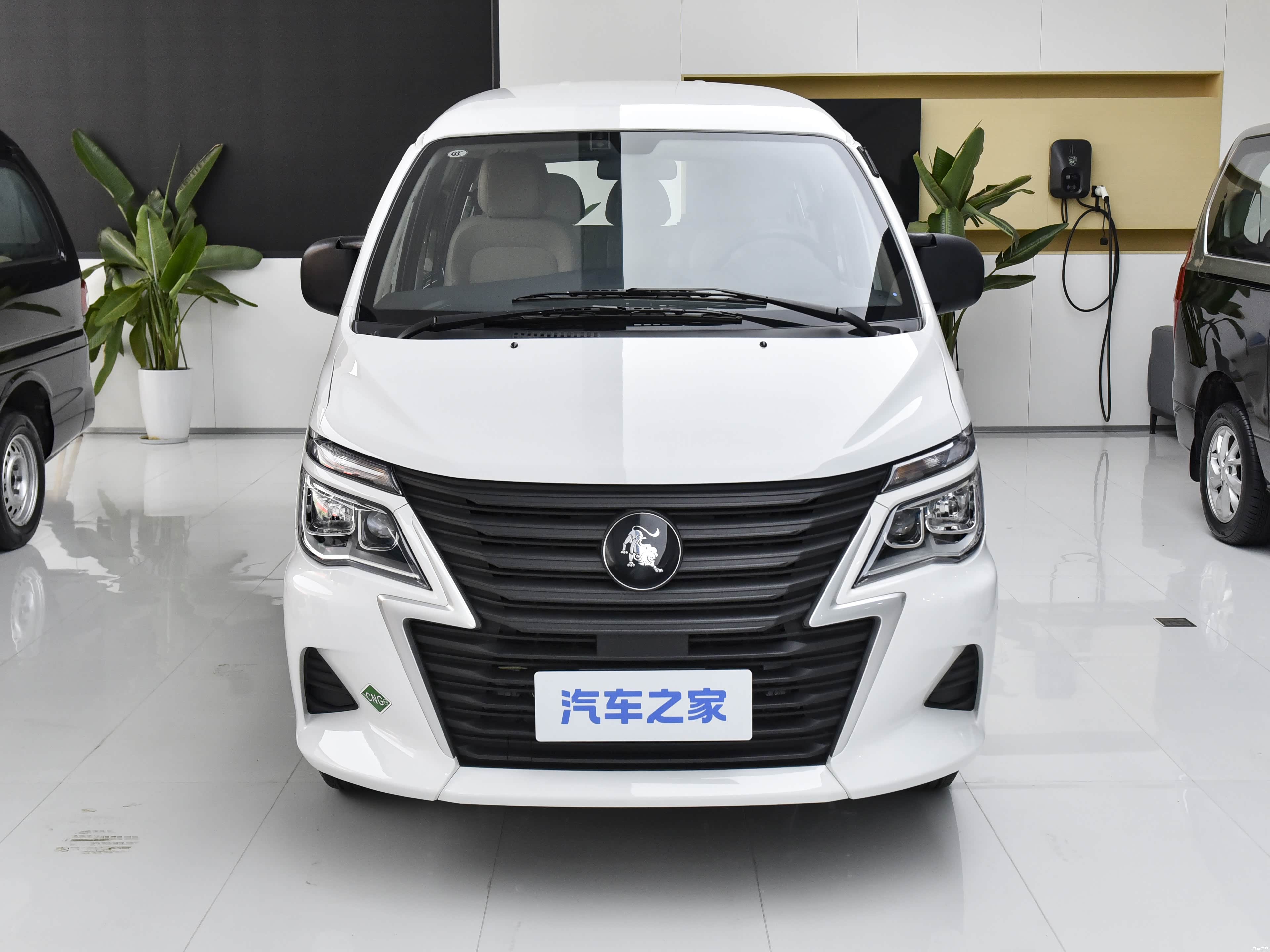 Forthing Lingzhi, миниатюра 2