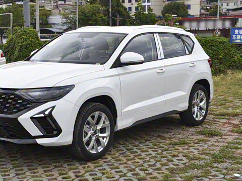 2026�� 280TSI �Զ��ȷ��