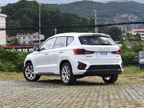 2026�� 280TSI �Զ��ȷ��