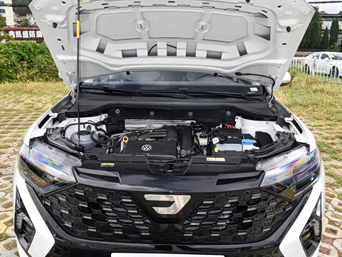 2026�� 280TSI �Զ��ȷ��