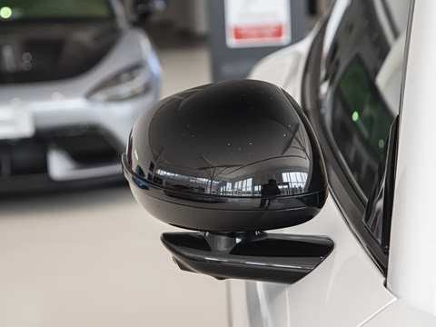 2025�� ������������Pro��