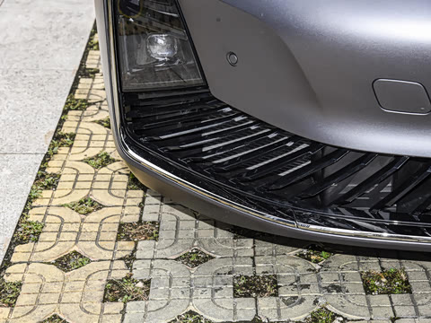 2025�� ������