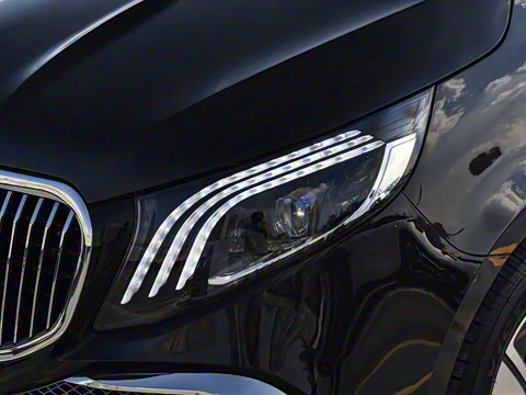 2025�� ������