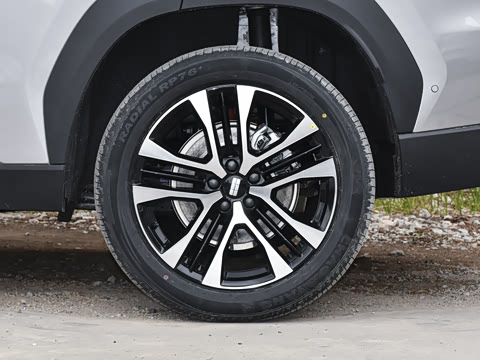 2026�� �����