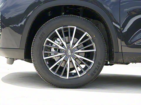 2025�� 290TGDI DCT����� 