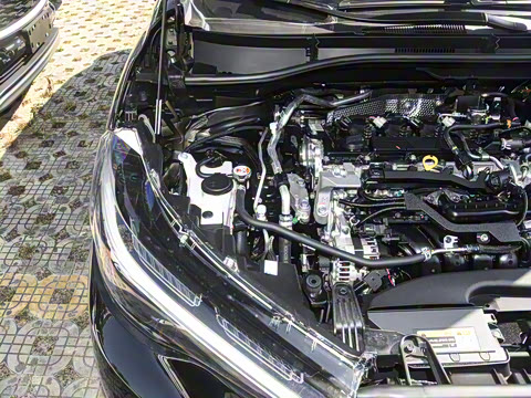 2026�� 2.0L CVT����PLUS��