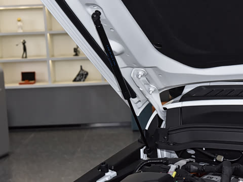 2025�� Hi4-T 36.7kWh