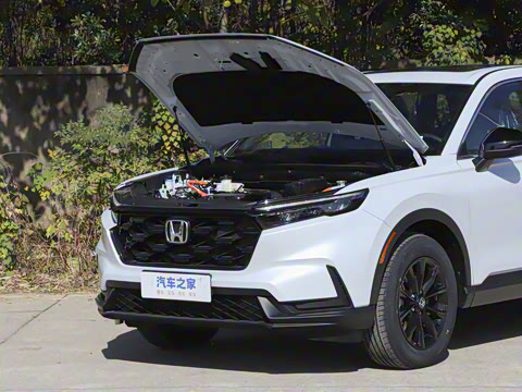 2026�� ȫ��30����ҫ�� 2.0L e:HEV �������а�