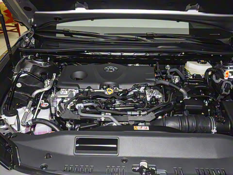 2026�� ˫�� 2.5HXS �˶�Plus��