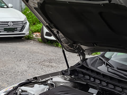 2025�� 2.0L XL-TLS ������