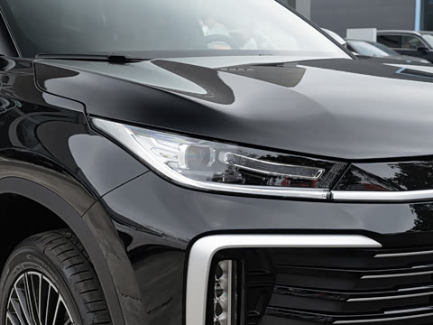 2026�� 300T ������Խ��