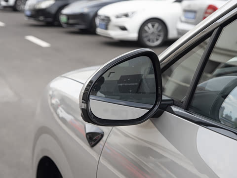 2025�� DM-i 121�캽��