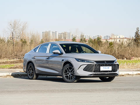 2026�� DM-i 210KM��Խ��