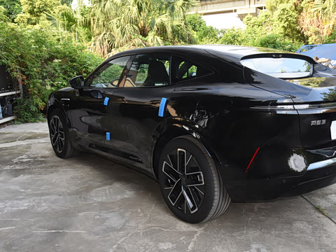 2025�� Max �����