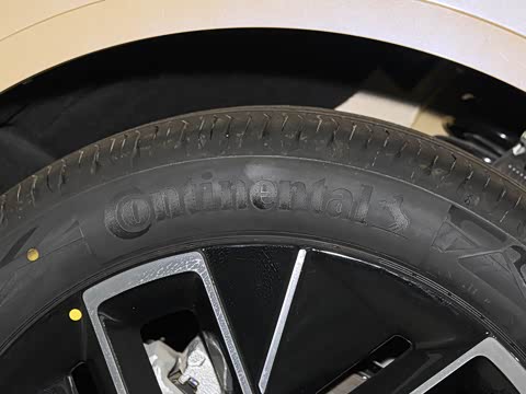 2025�� �Ŀ� Max ���̰�