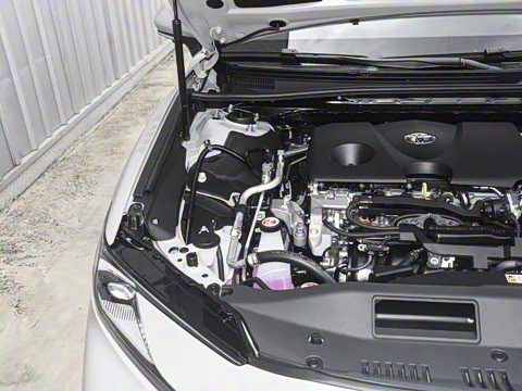 2026��  ˫�� 2.0HG ����