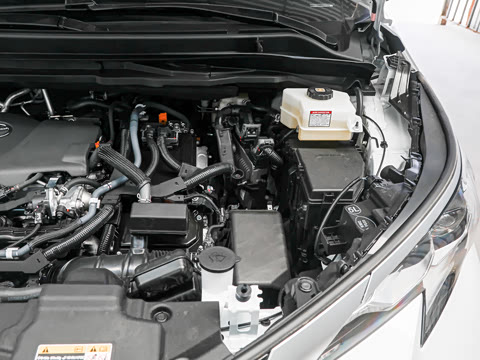 2027�� 2.5L ˫������������