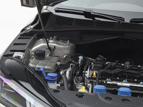 2026�� 1.5L ��϶���