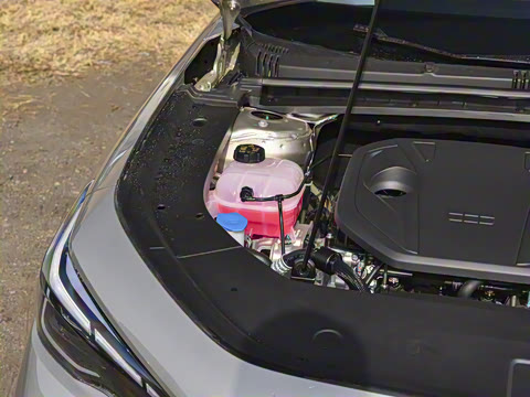 2026�� 125kmԶ����