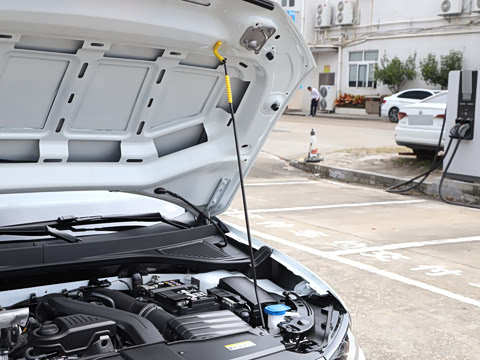 2026�� 300TSI DSG���������