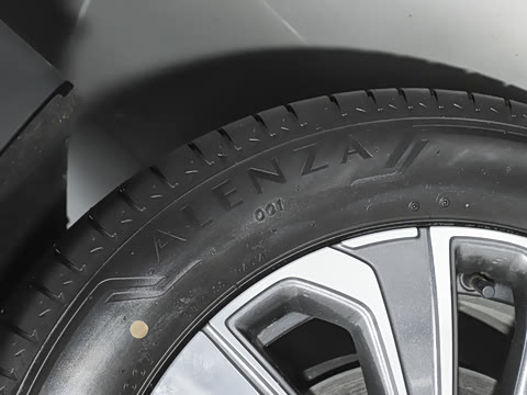 2025�� 25T �׽��