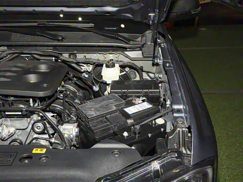 2025�� ̽�������Զ��� ����