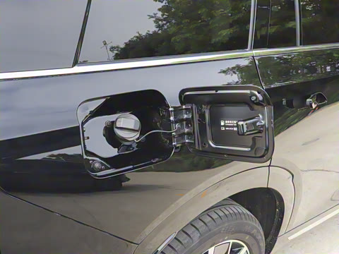 2025�� Ǭ�� Max 6��