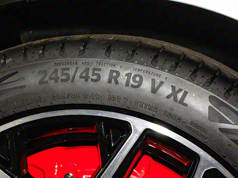 2025�� ���� 230�캽�����