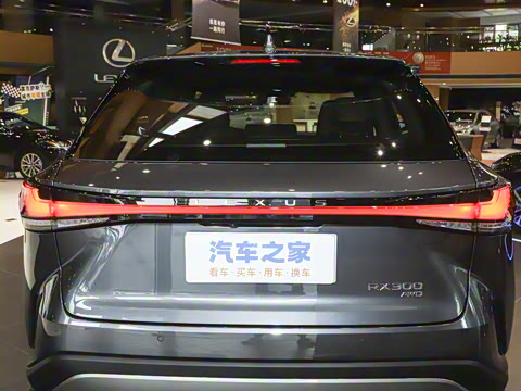 2025�� 300 ����������