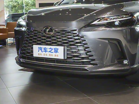 2025�� 300 ����������