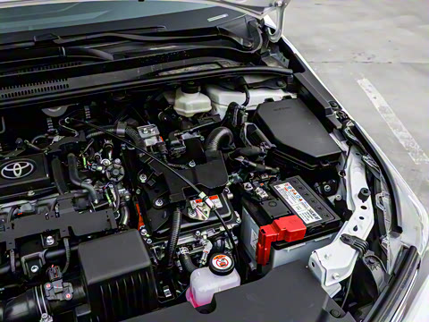 2025�� 1.8L ���ܵ��˫�� �ȷ��