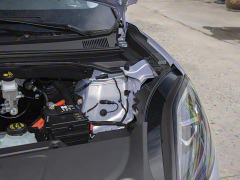 2025�� 325km ������