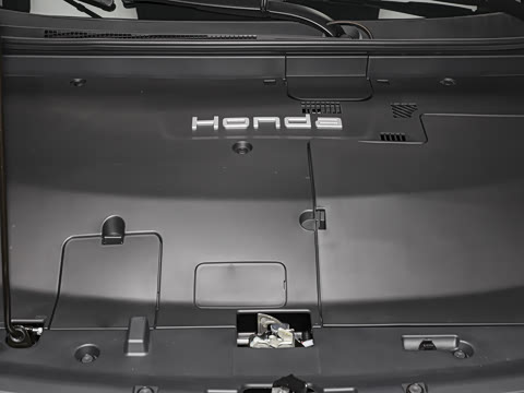 2025�� ����������Pro