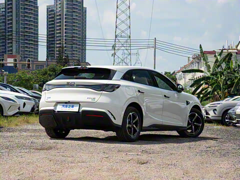 2025�� �Ǽݰ� 505���˰�