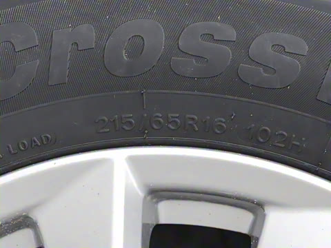 2025�� 460km ������ 9��