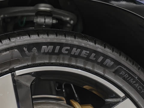 2025�� ������������Pro��