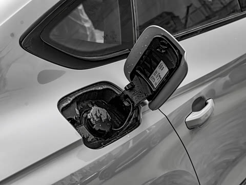 2025�� RS 5 2.9T Sportback ȼ���